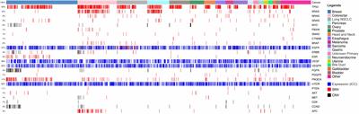 Multi-analyte liquid biopsies for molecular pathway guided personalized treatment selection in advanced refractory cancers: A clinical utility pilot study